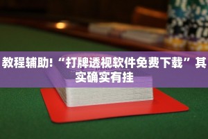 教程辅助!“打牌透视软件免费下载”其实确实有挂