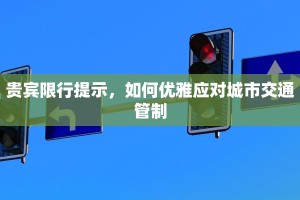 贵宾限行提示，如何优雅应对城市交通管制