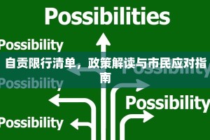 自贡限行清单，政策解读与市民应对指南