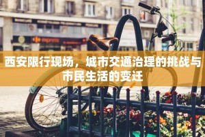 西安限行现场，城市交通治理的挑战与市民生活的变迁