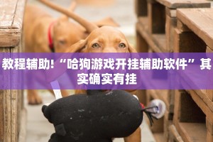 张掖汽车限行政策解析，背景、影响与市民应对策略