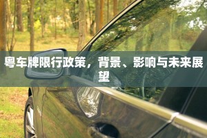 粤车牌限行政策，背景、影响与未来展望