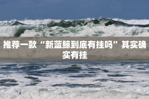 推荐一款“新蓝鲸到底有挂吗”其实确实有挂