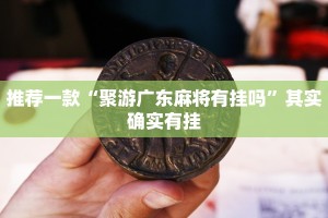 必看教程“正版鸿狐大厅免费透视挂”其实确实有挂