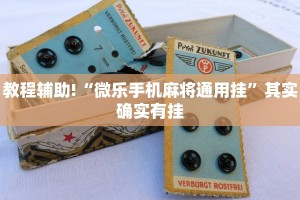 教程辅助!“微乐天津麻将挂软件”其实确实有挂