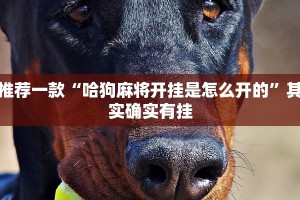 推荐一款“哈狗麻将开挂是怎么开的”其实确实有挂
