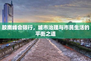胶南峰会限行，城市治理与市民生活的平衡之道