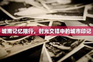 城南记忆限行，时光交错中的城市印记