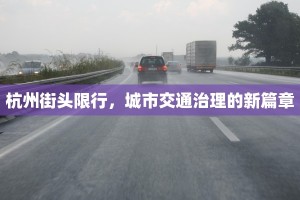 杭州街头限行，城市交通治理的新篇章