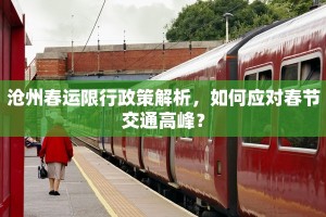 沧州春运限行政策解析，如何应对春节交通高峰？