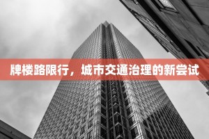 牌楼路限行，城市交通治理的新尝试