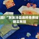 洛阳花会限行政策，赏花与交通管理的平衡之道