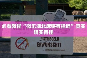 必看教程“微乐湖北麻将有挂吗”其实确实有挂
