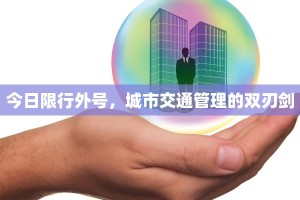今日限行外号，城市交通管理的双刃剑