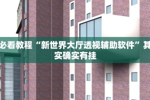 必看教程“新世界大厅透视辅助软件”其实确实有挂