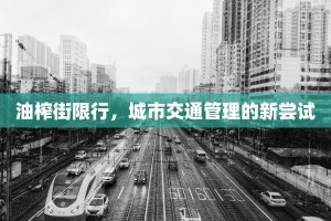 油榨街限行，城市交通管理的新尝试