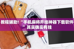 教程辅助!“丽水都莱辅助工具”其实确实有挂
