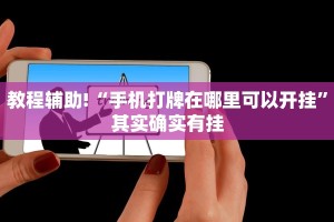必看教程“微乐湖北麻将开挂教程”其实确实有挂