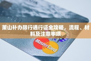 萧山补办限行通行证全攻略，流程、材料及注意事项