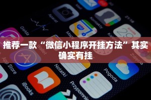 推荐一款“微信小程序开挂方法”其实确实有挂