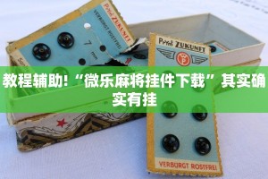 教程辅助!“微乐麻将挂件下载”其实确实有挂