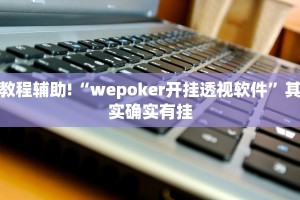 教程辅助!“wepoker开挂透视软件”其实确实有挂