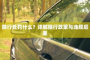限行处罚什么？详解限行政策与违规后果