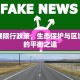 高邮湖限行政策，生态保护与区域发展的平衡之道