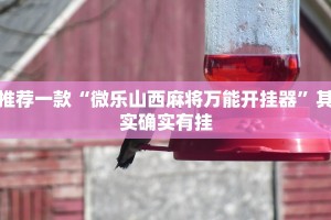 推荐一款“微乐山西麻将万能开挂器”其实确实有挂