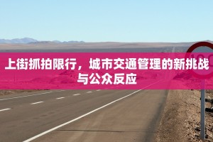 上街抓拍限行，城市交通管理的新挑战与公众反应