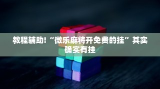 必看教程“奇迹陕西麻将挂是真的吗?”其实确实有挂