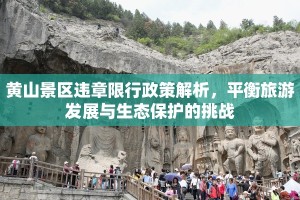 黄山景区违章限行政策解析，平衡旅游发展与生态保护的挑战