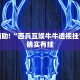 推荐一款“手机打麻将必赢神器下载”其实确实有挂