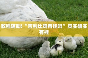 必看教程“天天斗地主外卦神器下载”其实确实有挂