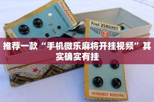 推荐一款“手机微乐麻将开挂视频”其实确实有挂
