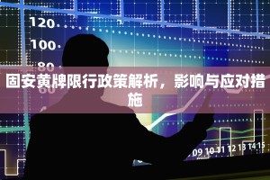 固安黄牌限行政策解析，影响与应对措施