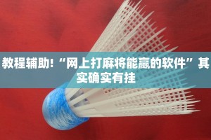 必看教程“微乐打滚子有没有挂”其实确实有挂
