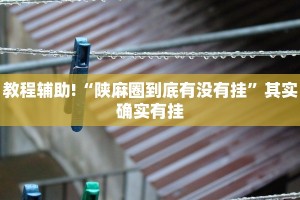 教程辅助!“陕麻圈到底有没有挂”其实确实有挂