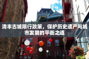 清丰古城限行政策，保护历史遗产与城市发展的平衡之道