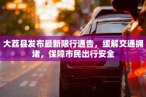 大荔县发布最新限行通告，缓解交通拥堵，保障市民出行安全
