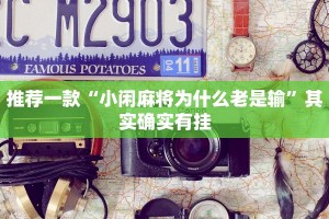 推荐一款“小闲麻将为什么老是输”其实确实有挂