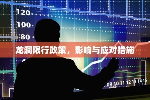 龙洞限行政策，影响与应对措施