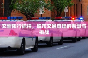 交警限行抓拍，城市交通管理的智慧与挑战
