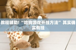 教程辅助!“哈狗游戏开挂方法”其实确实有挂