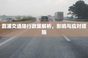 荔浦交通限行政策解析，影响与应对措施