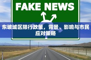 东坡城区限行政策，背景、影响与市民应对策略