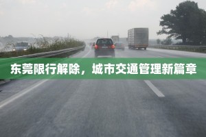 东莞限行解除，城市交通管理新篇章