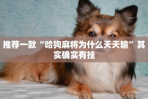 推荐一款“透视手机棋牌软件”其实确实有挂