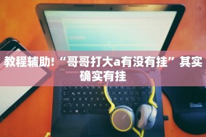 教程辅助!“哥哥打大a有没有挂”其实确实有挂