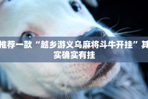 推荐一款“越乡游义乌麻将斗牛开挂”其实确实有挂